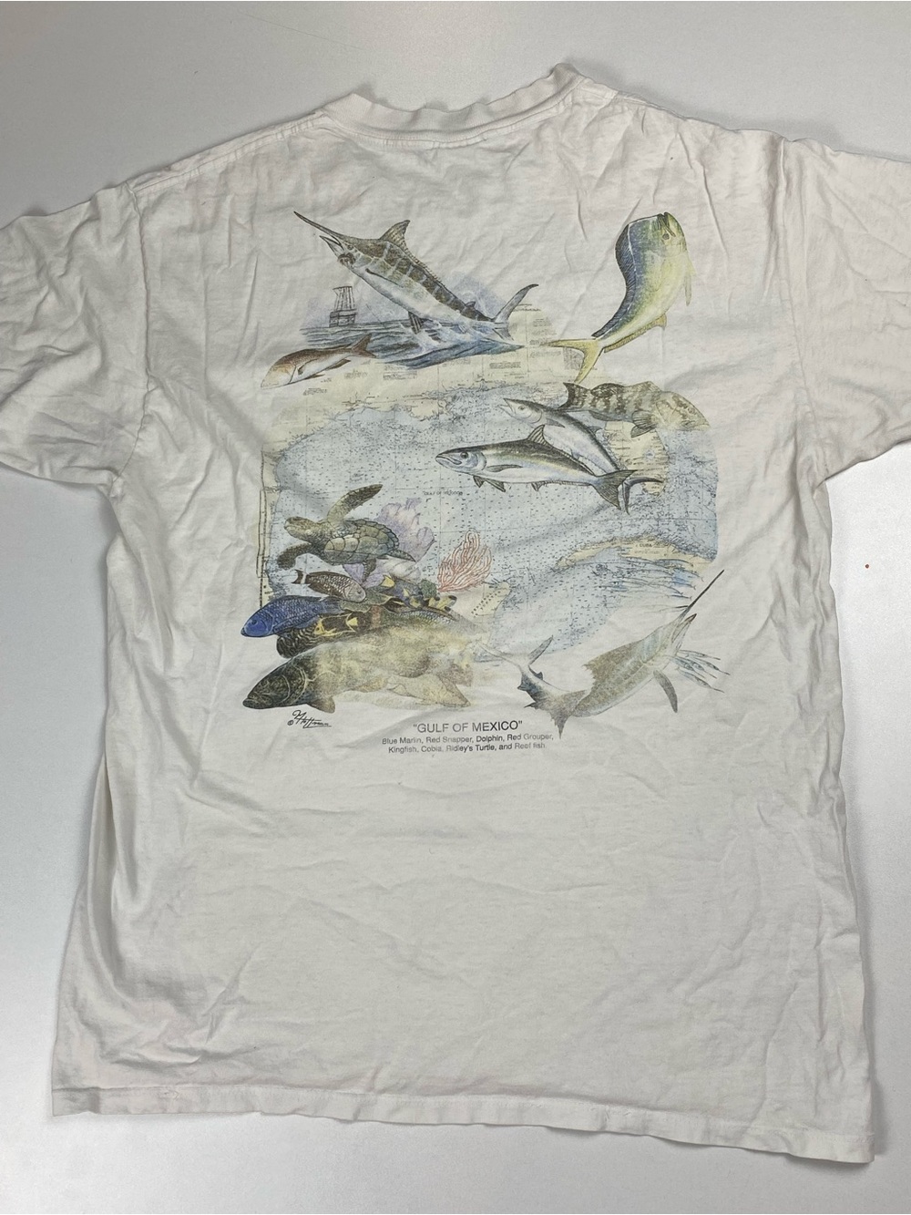 Vintage Gulf of Mexico Environmental Nature Ocean Fish tee - L